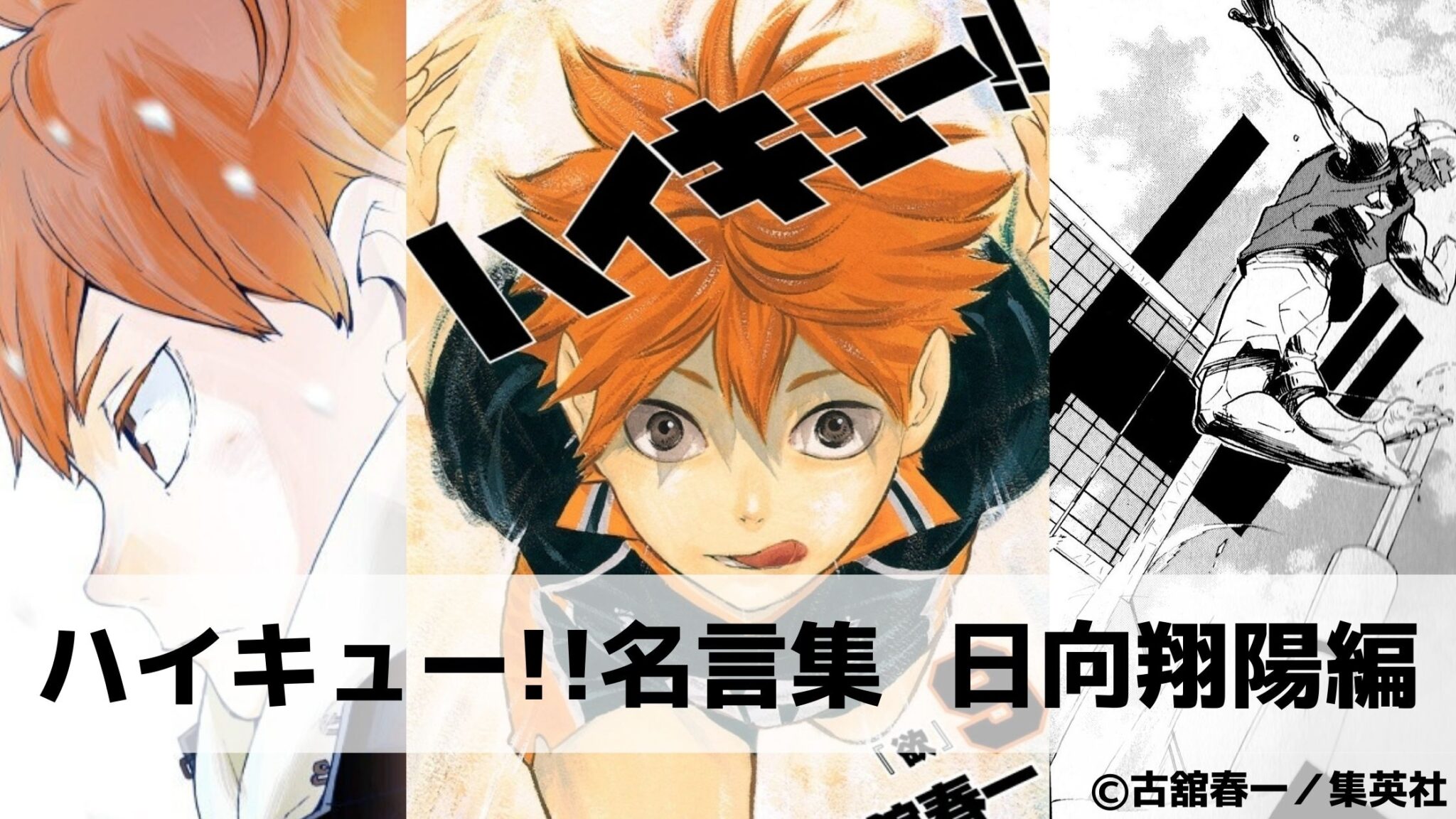 じょうぜんじ ハイキュー】条善寺高校バボカセット 条善寺高校バボ