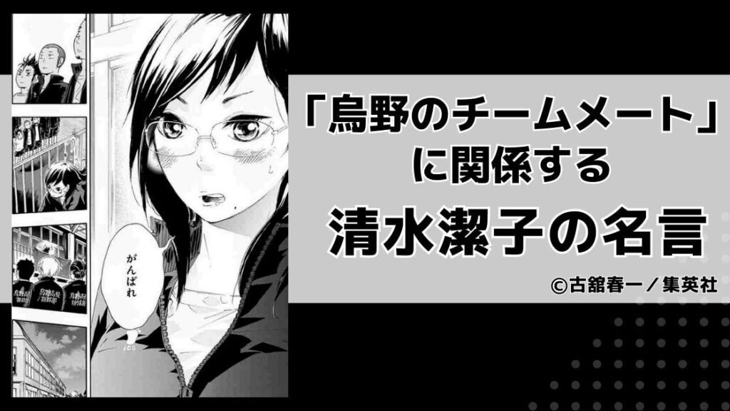 清水潔子 バレー ハイキュー!! DXFフィギュア 影山飛雄 清水潔子