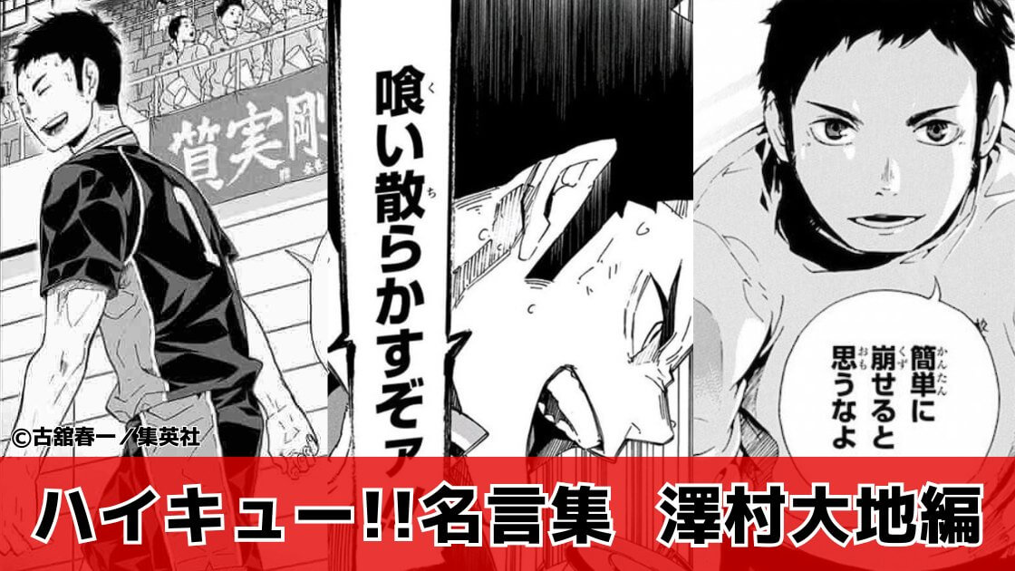 【勝とうとしなきゃ勝てないよ】澤村大地の名言30選「ハイキュー!!」名言集㉜（1～45巻より）