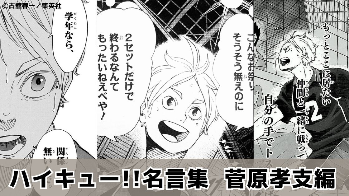 【俺の仲間はちゃんと強いよ】菅原孝支の名言31選「ハイキュー!!」名言集㉝（1～45巻より）