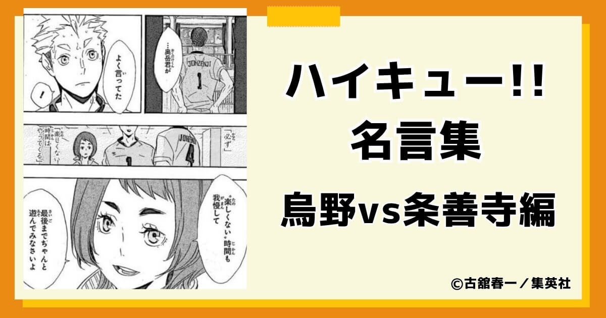 ハイキュー!!烏野vs条善寺からの名言集